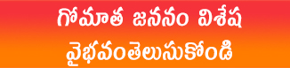 గోమాత_జననం_విశేష_వైభవంతెలుసుకోండి
